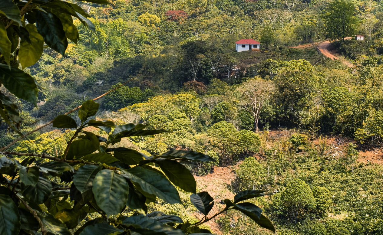 <span style=color:#f29f42;>COMMITTED TO IMPROVING</span> HEALTH AND PROTECTING THE ENVIRONMENT.